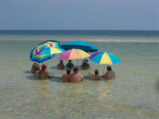 Sandy Bares