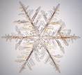snowflake1